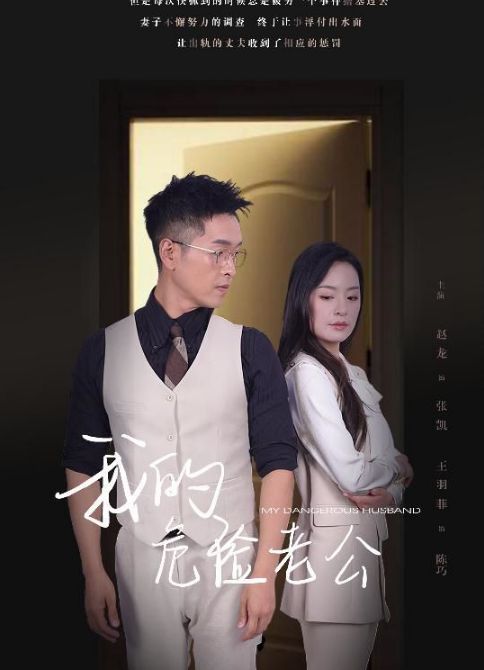 新我的危险老公海报